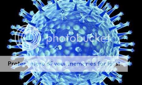 bird flu photo: Avian Bird Flu Bird-flu-460x276.jpg