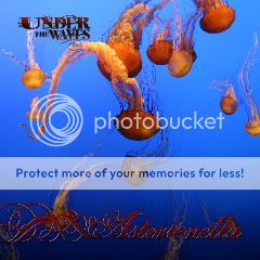 Under the Waves album cover medium size
