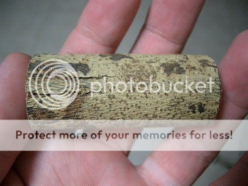 rencontre entre les mondes chabeuil