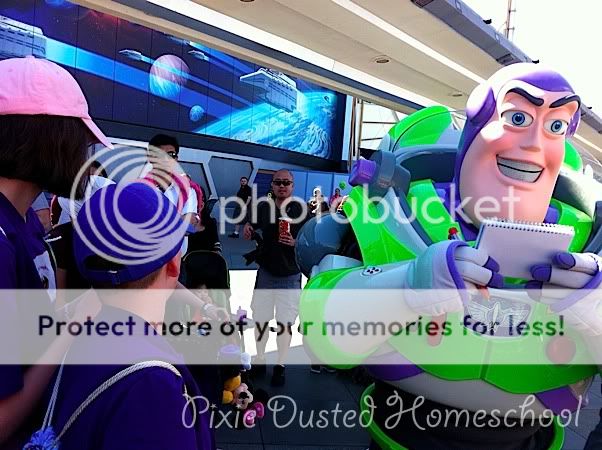 Buzz 2011