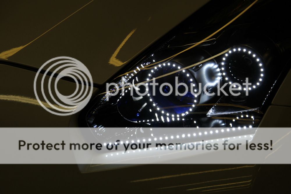 Posted Image