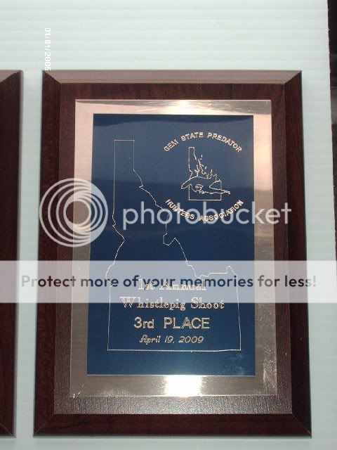 3rdPlacewhistlepig.jpg