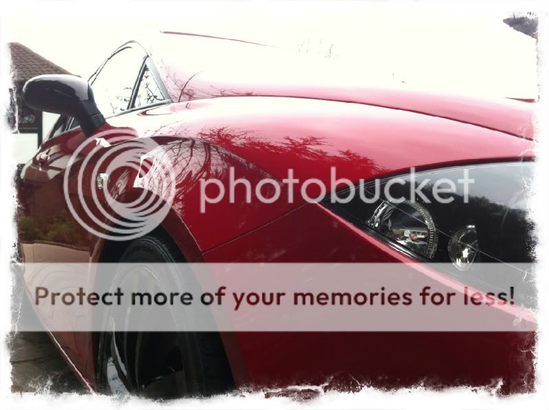 Mk2 Leon Cupra Detail! Detailing World Forum