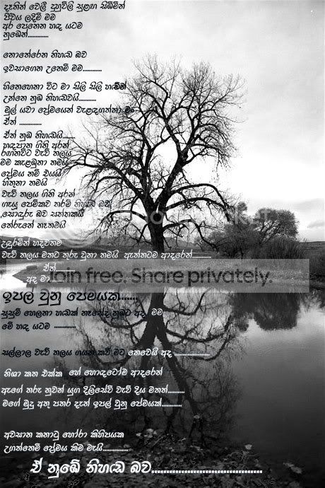 winter-tree-reflection-460px.jpg