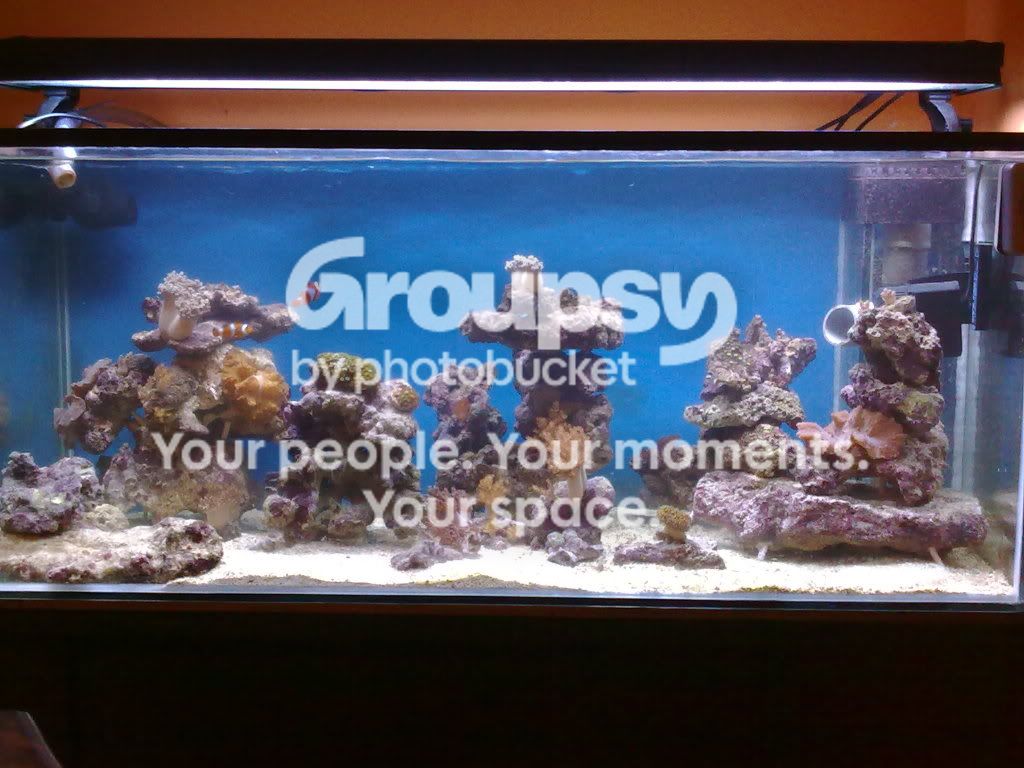 [TodoMarino.com] Taller de Aquascaping