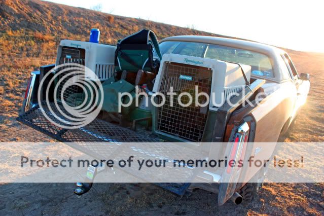 » Topic: Pimp My Ride — West Texas Quail Hunting Edition