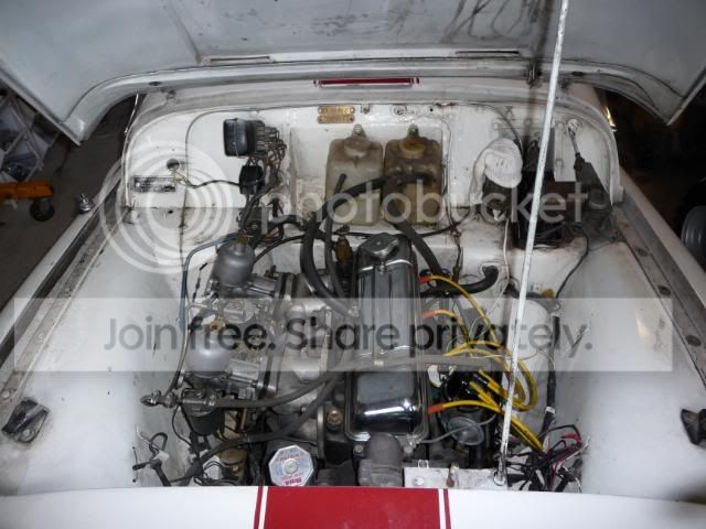 tr3engine.jpg